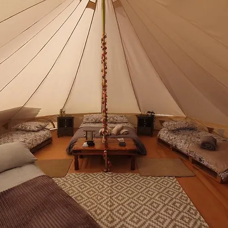 Calon Y Goedwig Glamping Hotel Llandovery Exterior photo
