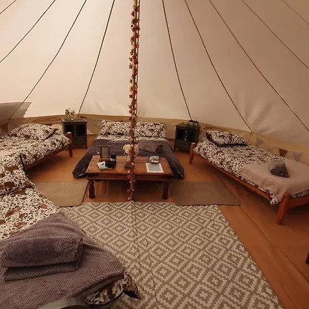 Calon Y Goedwig Glamping Hotel Llandovery Exterior photo