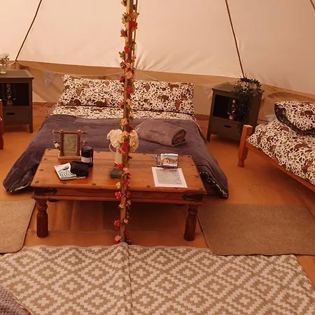 Calon Y Goedwig Glamping Hotel Llandovery Exterior photo