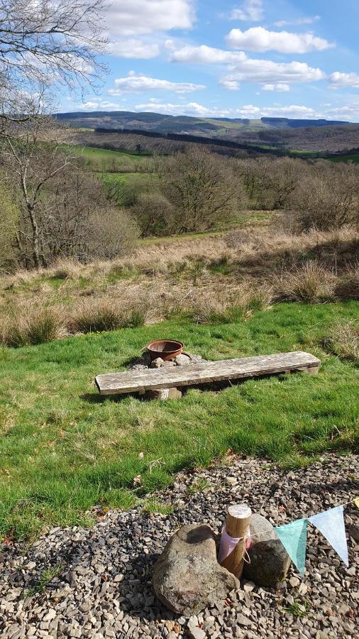 Calon Y Goedwig Glamping Llandovery