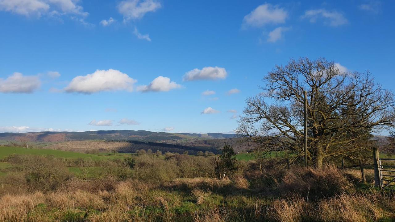 Calon Y Goedwig Glamping Llandovery
